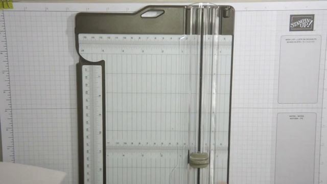 Forever Fern Sympathy Card #1 with Stampin' Up! Products смотреть онлайн