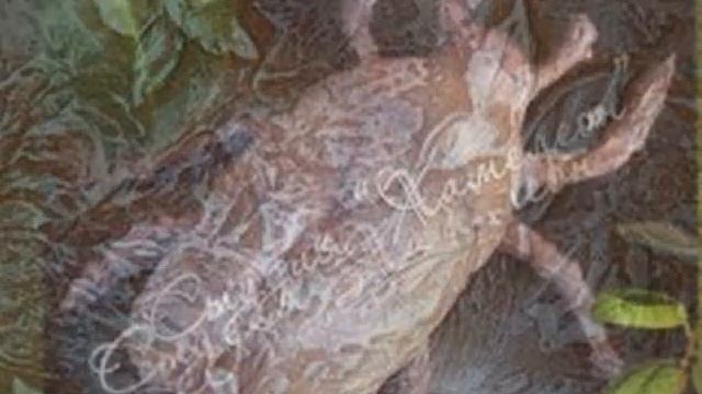 Декоративная штукатурка