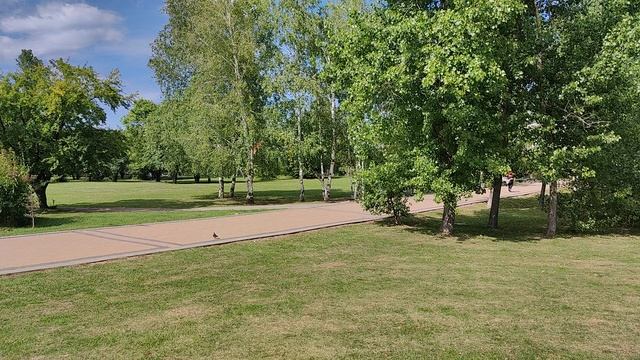 Xiaomi 11 Lite 5G NE - FHD (1080p) 60 Fps Camera Video Sample