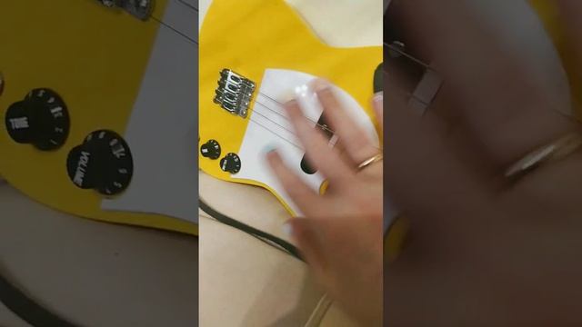 что такое пикгард на электрогитаре