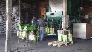 Фасовочная линия для расфасовки древесного угля СМ 4-1000
