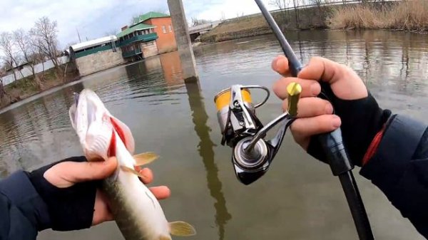 Crazy Fish Alpha 712ULS — НОВИНКА 2022🎣 Как с микроджигом?