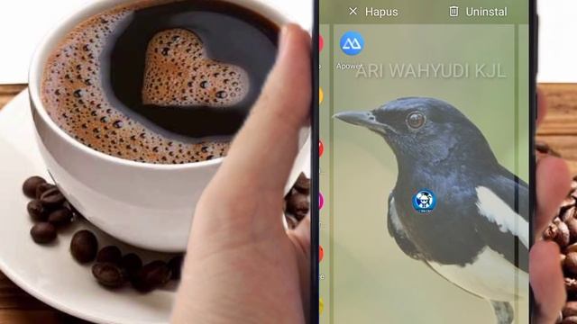 Cara Menemukan Video Apa Saja Langsung Terbuka смотреть онлайн