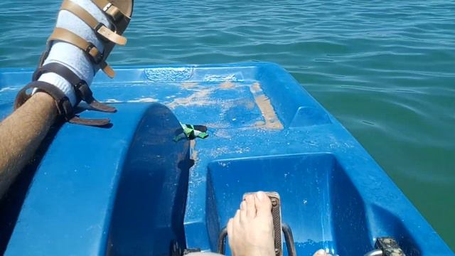 Путешествие на катамаране в открытом море выпуск 15 смотреть онлайн