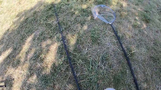 Риболовля на платній водоймі смотреть онлайн