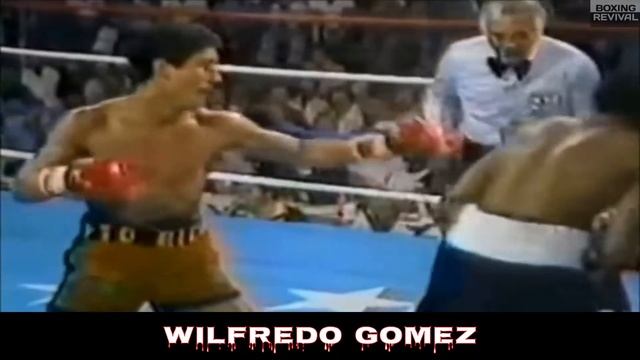1980s BOXING! TOP 10 GREATEST BOXERS OF 1980s (1980-1989) смотреть онлайн