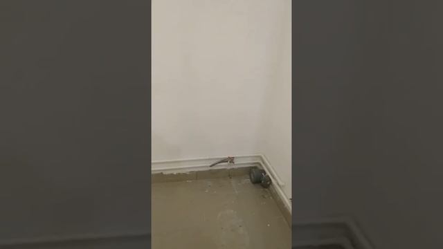 Новый объект на Костюкова смотреть онлайн