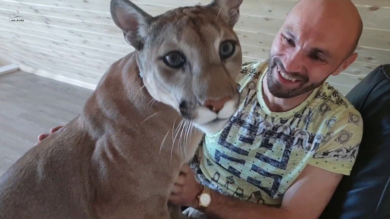 И пусть весь мир подождет! Пума Месси обожает папу! смотреть онлайн