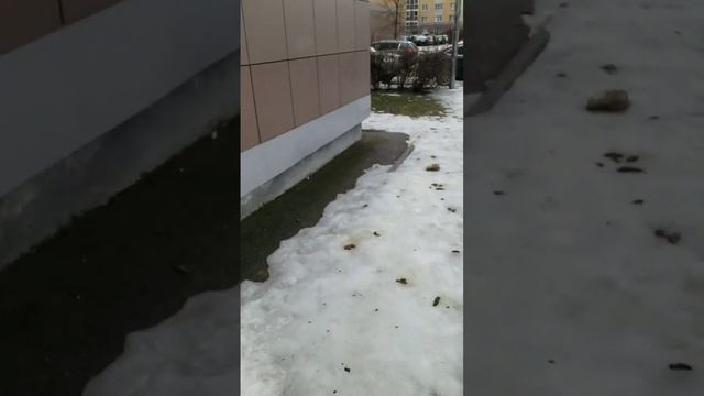 ЛУЧШЕЕ МЕСТО НА ЗЕМЛЕ смотреть онлайн