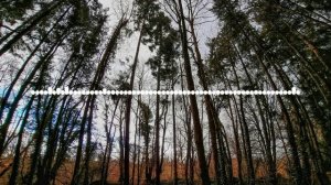 Магомед Хатаев - Лезгинка 2024