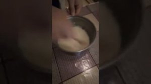 Как сделать клейстер из муки или крахмала? Очень простой рецепт