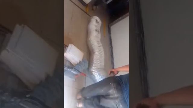 Строители нашли питона в Новосибирской области! смотреть онлайн