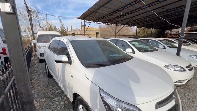 ДОГОВОРГА ёки НАСИЯ САВДОГА КОБАЛЬТ СОТИЛАДИ. ТЕЛЕФОН ☎️ 99 258 40 00 смотреть онлайн