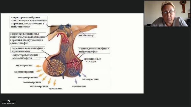 Сложные вопросы курса биол. 