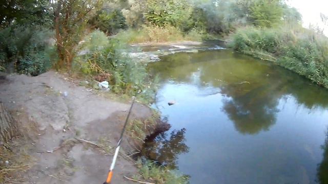 В этой луже почти нет воды а клюют такие Монстры!!! смотреть онлайн