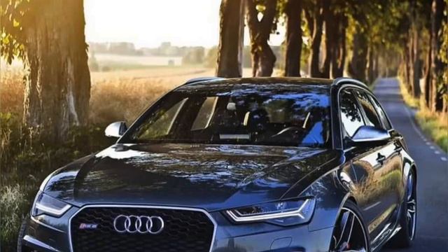 Dior - положение