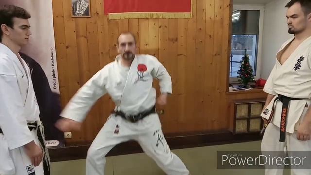 Сафронов Тарас 3 дан Вадо рю Каратэ / Будо академия 35 / скорость удара и натяжение сухожилий смотреть онлайн