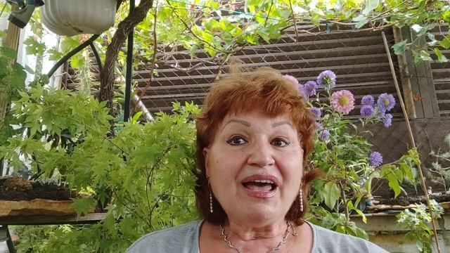 НапилаСя Я пьяна....не дойду до дивана...мне плохо смотреть онлайн