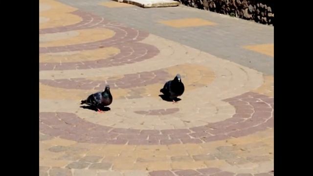 Покорили улицы города Липецка. Фонтаны