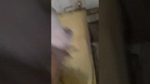 нет тяги , дымит котел стропува