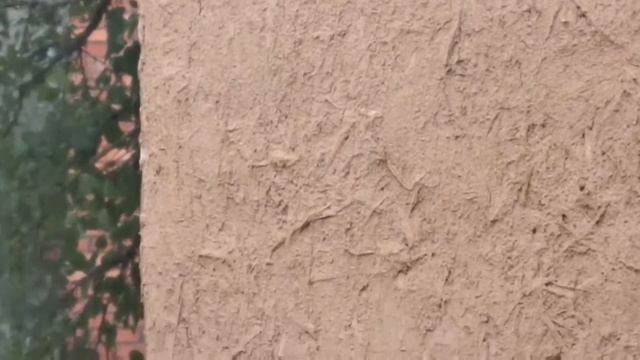 Строительные Мнения