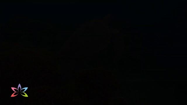 3HRS of 4K Turtle Paradise - Undersea Nature Relaxation Film + Relaxing Music by 4K Relaxation смотреть онлайн