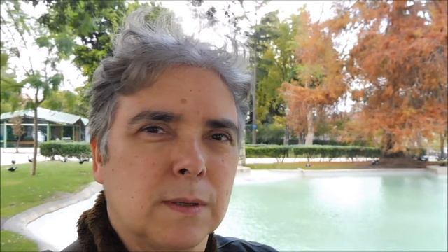 Taxodium distichum | Cipreste-de-folha-caduca | LISBOA смотреть онлайн