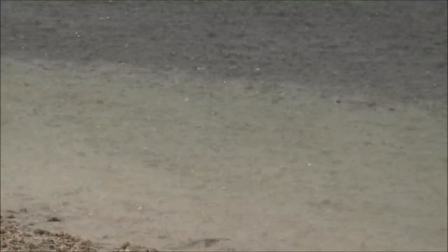 Alone on a small small Philippine Island смотреть онлайн