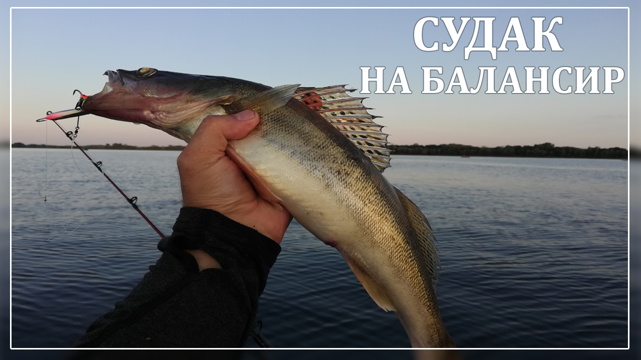 Судак на балансир.Ловля судака с лодки.Судак в отвес. смотреть онлайн