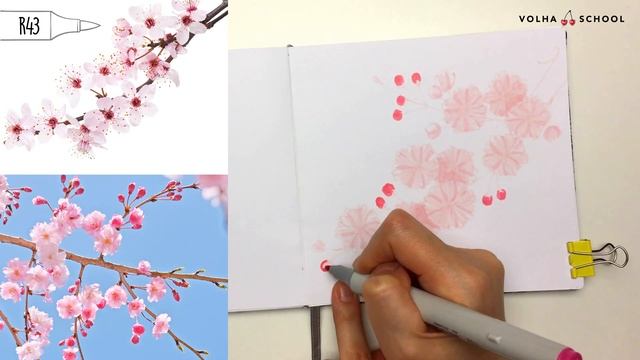 Как нарисовать цветущую сакуру? / Урок по рисованию маркерами для новичков #8 смотреть онлайн