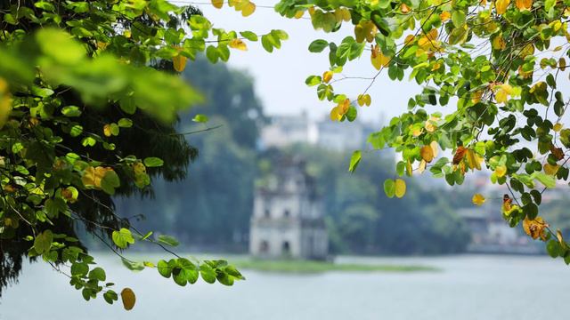 CÓ PHẢI EM LÀ MÙA THU HÀ NỘI | KÈN MELODION YAMAHA P37D смотреть онлайн