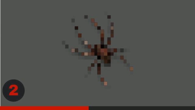 ? Guess the Animal Quiz Game | Animal Quiz Picture Reveal Game | 30 Questions смотреть онлайн