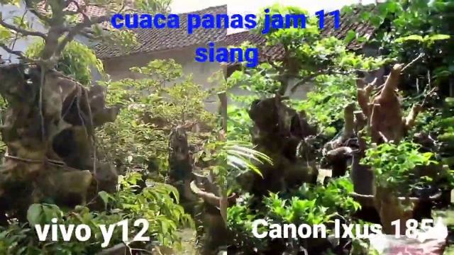 Review hasil poto dan video Vivo y12 vs Canon Ixus 185 смотреть онлайн