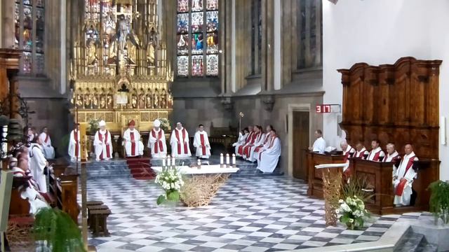 Uvedení probošta, děkana a kanovníků kapituly смотреть онлайн