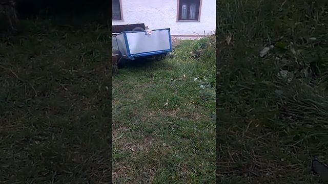 DRUJBA MEA... смотреть онлайн