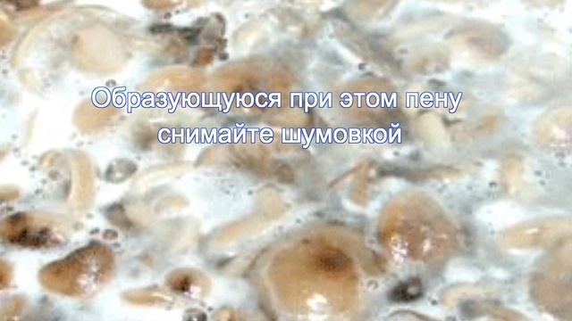 Маринованные опята смотреть онлайн