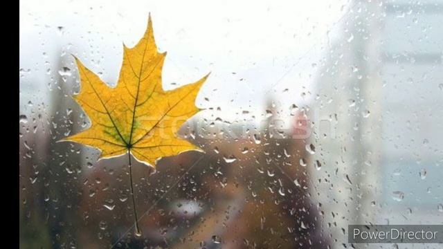 Когда-нибудь ты вспомнишь обо мне... смотреть онлайн