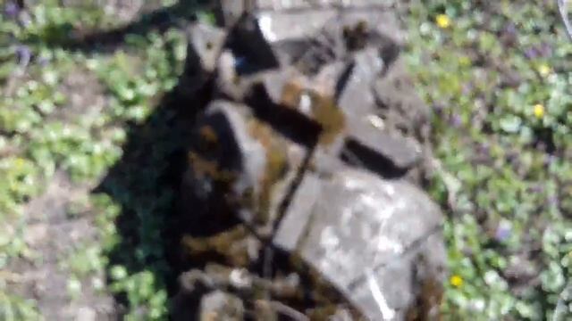 Обзор польского кладбища 09 04 2018. Смела смотреть онлайн