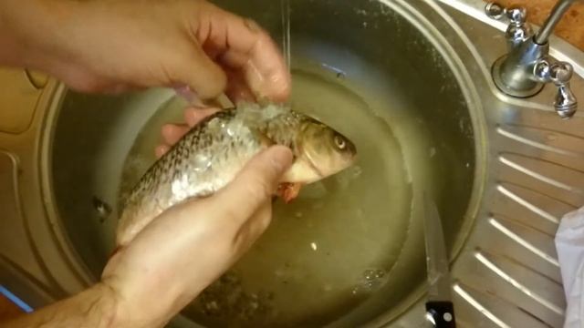 Быстрая чистка крупной плотвы БЕЗ разлёта чешуи смотреть онлайн