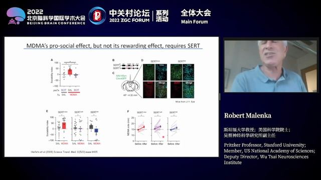 Serotonin and Sociability смотреть онлайн