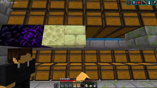 I Built my DREAM STORAGE SYSTEM in Minecraft Hardcore смотреть онлайн