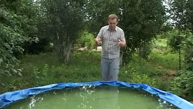 Дача (Рика ТВ) от 11 июля 2014 года смотреть онлайн