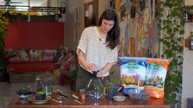 How to Plant a Terrarium — Ep 125
