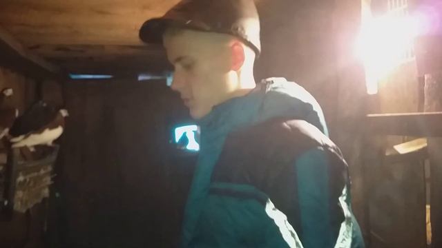 Ленточные голуби ( Весенняя съёмка) смотреть онлайн
