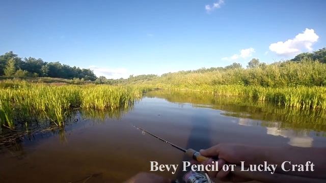 Bevy Pencil: места применения (1)