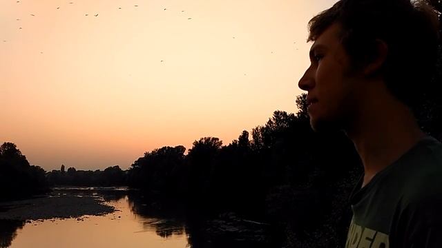 Всеволод Федотов - "На юг, мой друг..." смотреть онлайн