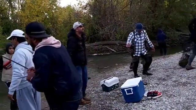 Salmon fishing | Ontario Fishing Salmon season | credit river fishing | Ontario Salmon Fishing смотреть онлайн