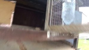 Куры и кролики на даче. часть 1.Май 2016. Содержание кроликов икур. Челышев студия рыбалки