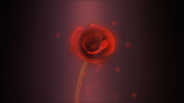 CGI Animated Short Film: 