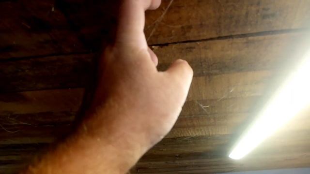 двадцать второе мая . переселил бройлера в сарай . побелил и отмыл летнюю кухню . смотреть онлайн